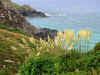 Views on the path from Zennor to Gurnard's Head 1