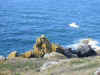 Views on the path from Zennor to Gurnard's Head 8