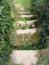 The field path from St. Ives to Zennor 10