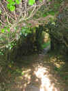 The field path from St. Ives to Zennor 17