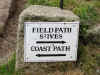 The field path from St. Ives to Zennor 2