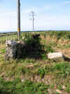 The field path from St. Ives to Zennor 31