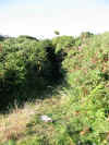 The field path from St. Ives to Zennor 33