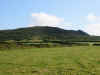 The field path from St. Ives to Zennor 28