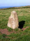 The field path from St. Ives to Zennor 29