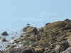 Coves at Porthminster Point, St. Ives, Cornwall 4