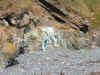 Coves at Porthminster Point, St. Ives, Cornwall 8