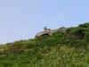 A mysterious creature on Rosewall Hill, St. Ives, Cornwall