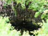 Old mineshaft on Rosewall Hill, St. Ives, Cornwall 2