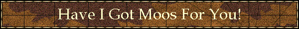 Have I Got Moos For You!