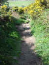 Route of St. Michael's Way, Penwith, Cornwall 31