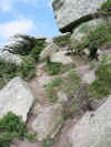 Coast path between Zennor and St. Ives, Cornwall 13