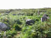 The Merry Maidens on Trevlgan Cliffs, St. Ives Bay, Cornwall 1