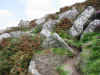 Coast path between Zennor and St. Ives, Cornwall 7