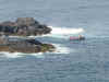 Seal Island aka The Carracks, St. Ives Bay, Cornwall 2
